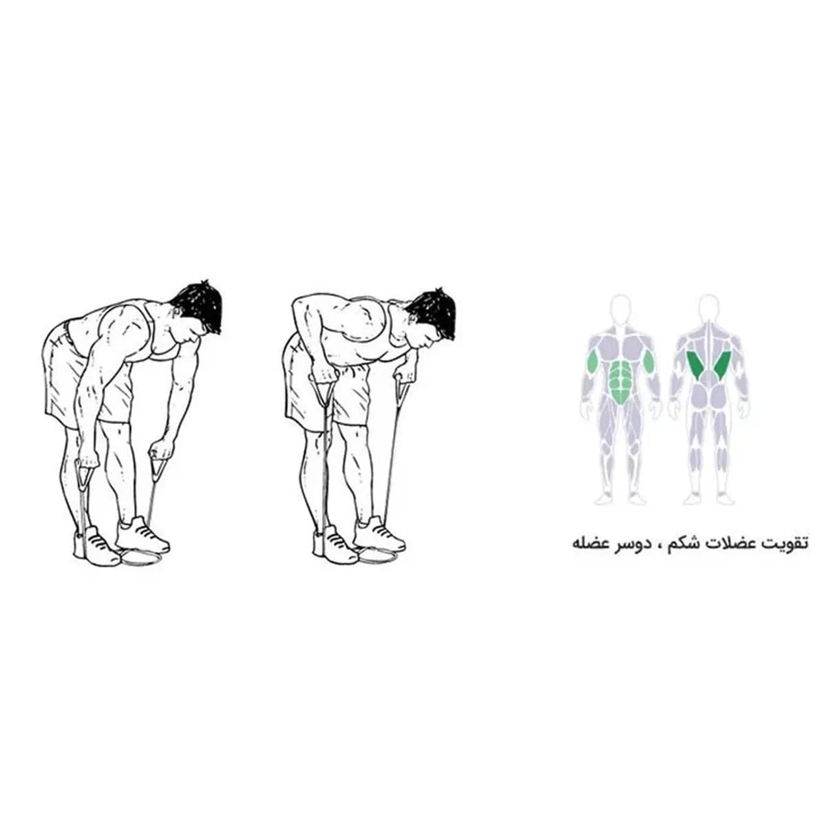 کش ورزشی رادیس فیت مدل All in One مشکی — حرکتهای پشت